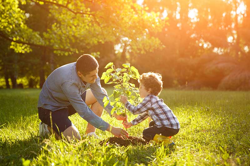 Father and son planting a tree
